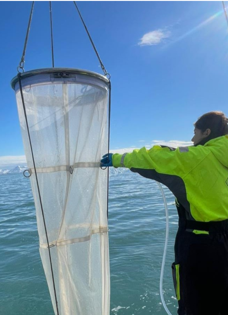 Ricercatore con rete di campionamento biologico nel fiordo